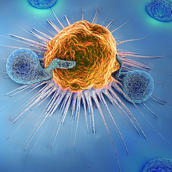 Immunosafety-Cancer-Cells-scaled small